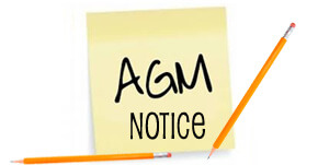 BMFA Northern Area 2020 AGM @ Zoom (Online Meeting) | United Kingdom